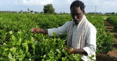 AP’s Land Act Amendment: A Win-Win for Farmers and Green Growth?