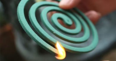 கூடுவாஞ்சேரி அருகே கொசுவர்த்தியால் ஏற்பட்ட தீ விபத்தில் 3 பேர் உயிரிழப்பு