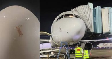 Air Arabia Flight Lands Safely After Bird Strike