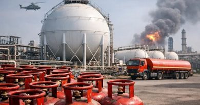 India Assures Stable LPG Supply Amid Crisis