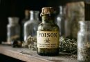 Karnataka Woman Dies After Being Poisoned by Relatives Over Affair