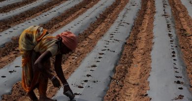 Odisha Introduces Compensatory Irrigation Plan