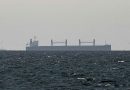 South Korea Aims to Help Stuck Ships in Hormuz Strait