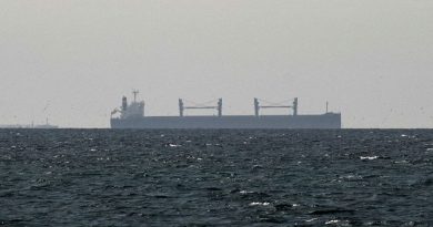 South Korea Aims to Help Stuck Ships in Hormuz Strait