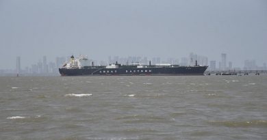 UNSC Delays Vote on Protecting Shipping in Strait of Hormuz