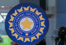 BCCI is Not a Government Entity