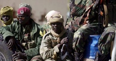 Boko Haram Kills 23 Soldiers in Chad’s Lake Chad Region
