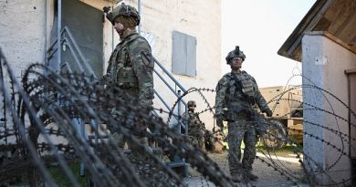 Germany Calls for Stronger European Defense Amid US Troop Cutback
