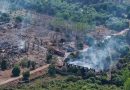 Fireworks Plant Explosion in Central China Kills 21