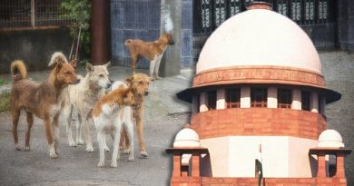 Supreme Court Upholds Order on Stray Dog Management