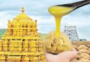 TTD Ghee Adulteration Report Criticizes Temple Administration