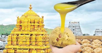 TTD Ghee Adulteration Report Criticizes Temple Administration