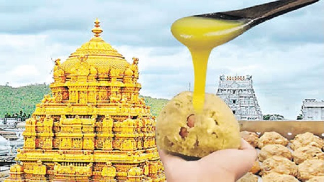 TTD Ghee Adulteration Report Criticizes Temple Administration