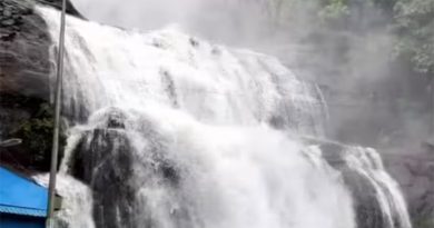 மேற்குத் தொடர்ச்சி மலைப் பகுதிகளில் கனமழை – குற்றாலம் அருவிகளில் குளிக்கத் தடை
