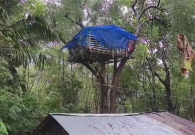கன்னியாகுமரியில் காட்டுவிலங்குகள் தாக்குதலுக்குப் பயந்து மரங்கள் மீது பரண் அமைத்து தூங்கும் பழங்குடியின மக்கள்!