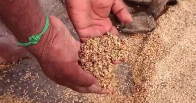 கொள்முதல் நிலையங்களில் வைக்கப்பட்டிருந்த நெல் மூட்டைகள் சேதம்! – அதிகாரிகள் மீது குற்றம் சாட்டும் விவசாயிகள்