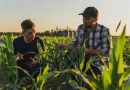 US and India Partner on AI for Better Soybean Farming