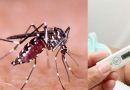 சென்னையில் மீண்டும் அதிகரிக்கும் டெங்கு பாதிப்பு!