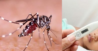 சென்னையில் மீண்டும் அதிகரிக்கும் டெங்கு பாதிப்பு!