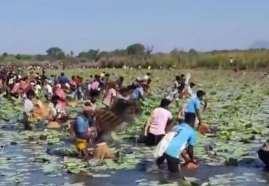 சிவகங்கை மாவட்டத்தில் நடைபெற்ற மீன்பிடித் திருவிழா! – 3 ஆயிரத்திற்கும் அதிகமான பொதுமக்கள் பங்கேற்பு