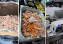 Bengaluru Hotel Checks Seize Spoiled Food