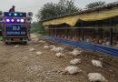 Deadly altercation at Karnataka chicken gathering