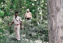 Forest Officers Justify Shooting in Self-defense