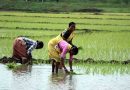 Hidden Farmers Suffering in Telangana and Andhra Pradesh