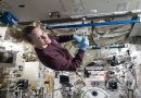 Microbes May Survive on the Moon’s South Pole