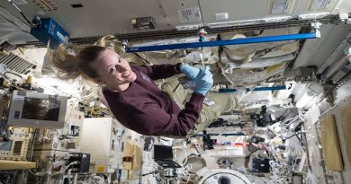 Microbes May Survive on the Moon’s South Pole