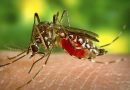West Nile Virus Antibodies Found in Nearly 30% of Keralam Residents