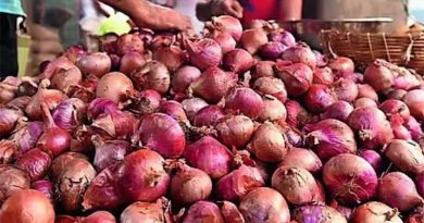 வெங்காயம் தட்டுப்பாடு அதிகரிப்பு! – நாசிக்கில் இருந்து வரும் 800 மெட்ரிக் டன் வெங்காயம்