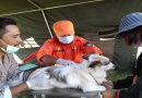 Bhutan Leads South-East Asia in Eliminating Rabies