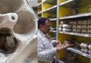Blinkit Egg with Worm Sparks Inspection in Mangaluru