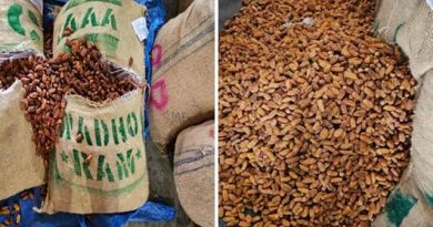 DRI seizes over 362 tonnes of Pakistan-origin dry dates under Operation Deep Manifest