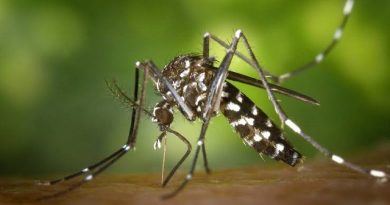 Dengue and Influenza Viruses Circulating in Chennai