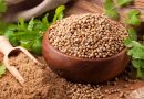 Dhaniya Water for Hair Growth: Benefits, How to Apply, and More