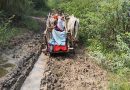 Pregnant woman carried on bullock cart as ambulance fails to reach Telangana hamlet