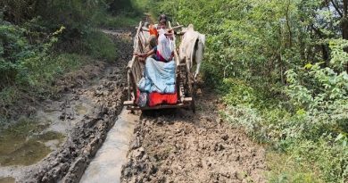 Pregnant woman carried on bullock cart as ambulance fails to reach Telangana hamlet