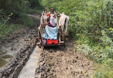 Pregnant woman carried on bullock cart as ambulance fails to reach Telangana hamlet