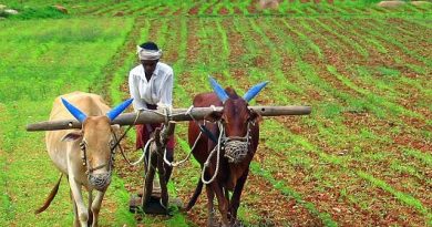 Rapid Ageing in Telangana: A Growing Challenge