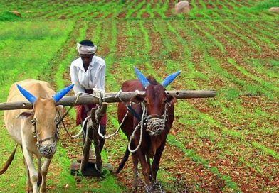 Rapid Ageing in Telangana: A Growing Challenge