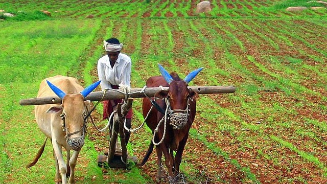 Rapid Ageing in Telangana: A Growing Challenge