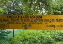 The Story of Government Farm Village in Madras