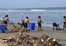 Vinayaka Idols Wash Ashore After Immersion, Workers Clear Beach Debris
