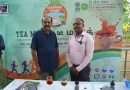 Tea Awareness Meets Health Awareness at Anna Nagar Tower Park: An Initiative from Tea Board of India, Bringing Genuine Tea and Healthy Choices Closer to the Community