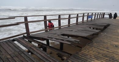 Activists Raise Concerns Over Marina Beach Accessibility Pathway