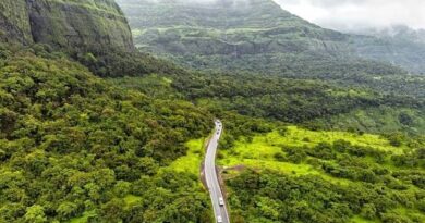 Keralam urges Centre to exclude 98 villages from Western Ghats eco-sensitive area