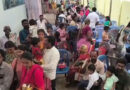 விஜயதசமி திருநாளை முன்னிட்டு மகா சரஸ்வதி கோயிலில் நடைபெற்ற வித்யாரம்பம் நிகழ்ச்சி கோலாகலமாக நடைபெற்றது